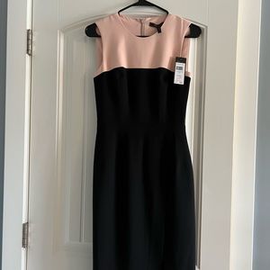Colorblock Dress / Black & Blush